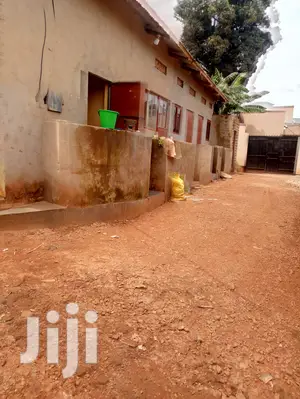 House For Rental Singo Mengo