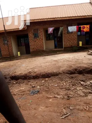 House For Rental Singo Mengo