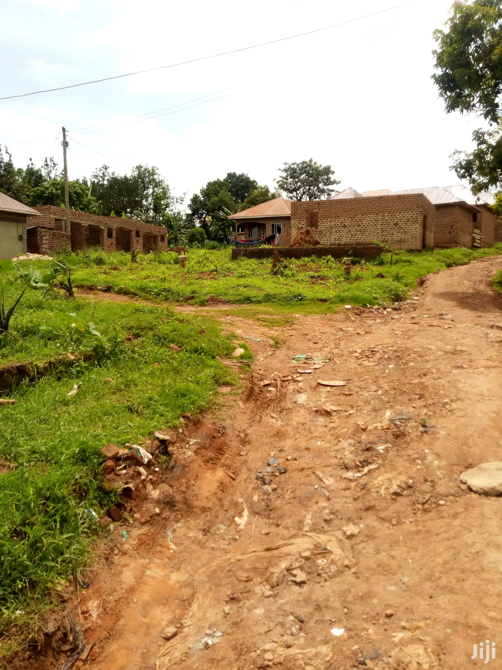Plot for Sale 100x50ft Bira Bujuko Town