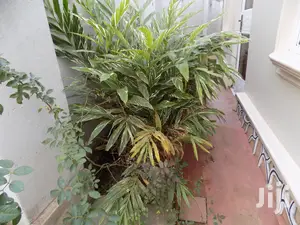 Two Bedroomed Apartment