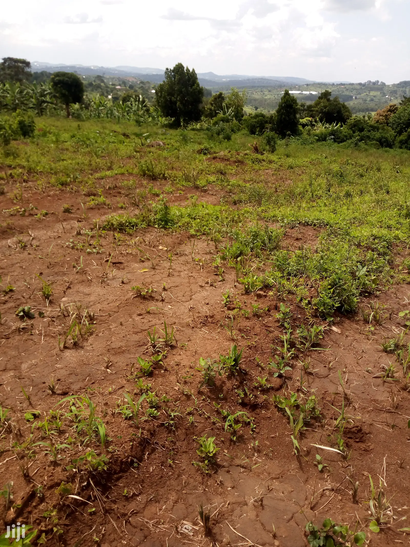Plot for Sale 40x60ft at 12m Ugx Sentema Kusaza