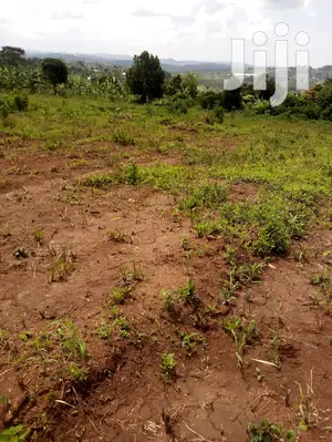 Plot for Sale 40x60ft at 12m Ugx Sentema Kusaza