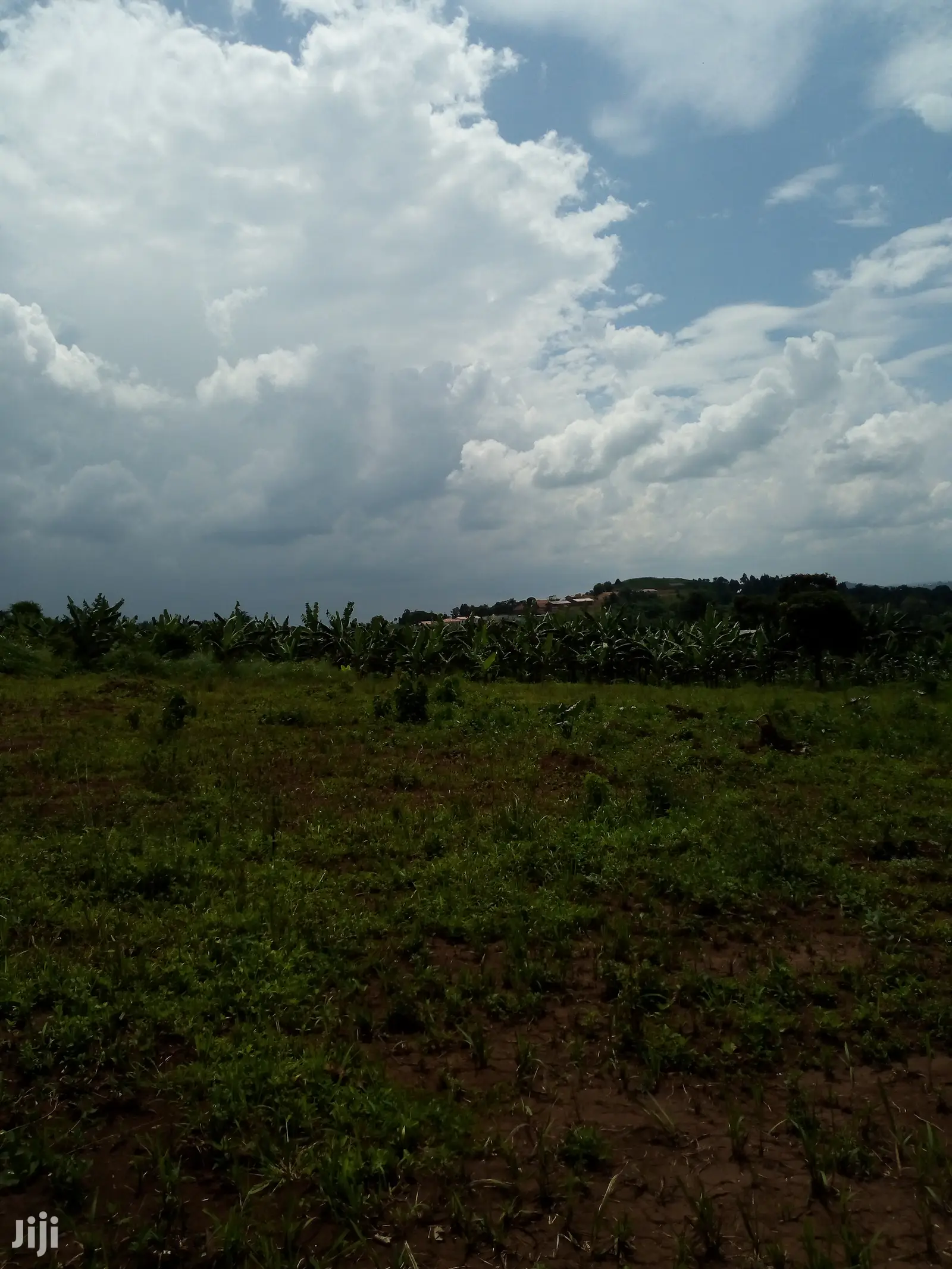 Plot For Sale 25X58ft In Lukwaga Setema Road
