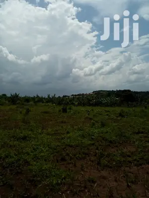 Plot For Sale 25X58ft In Lukwaga Setema Road