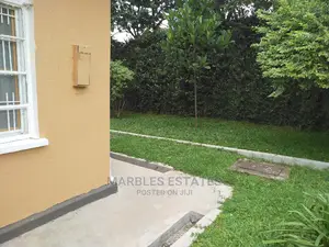 4 Bedroom House In Muyenga For Rent