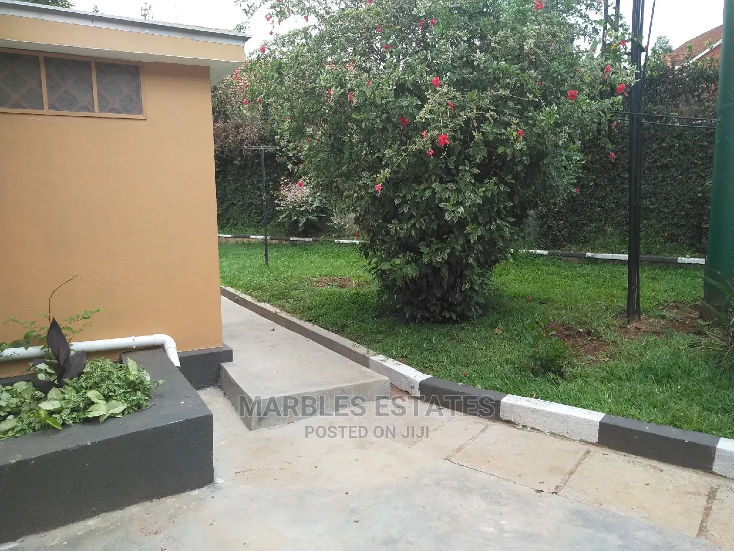 4 Bedroom House In Muyenga For Rent