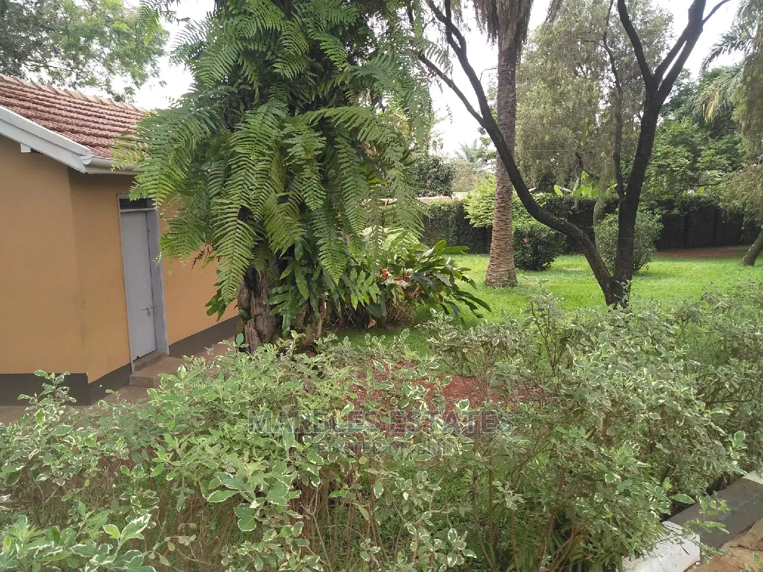 4 Bedroom House In Muyenga For Rent