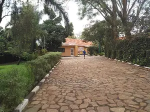 4 Bedroom House In Muyenga For Rent
