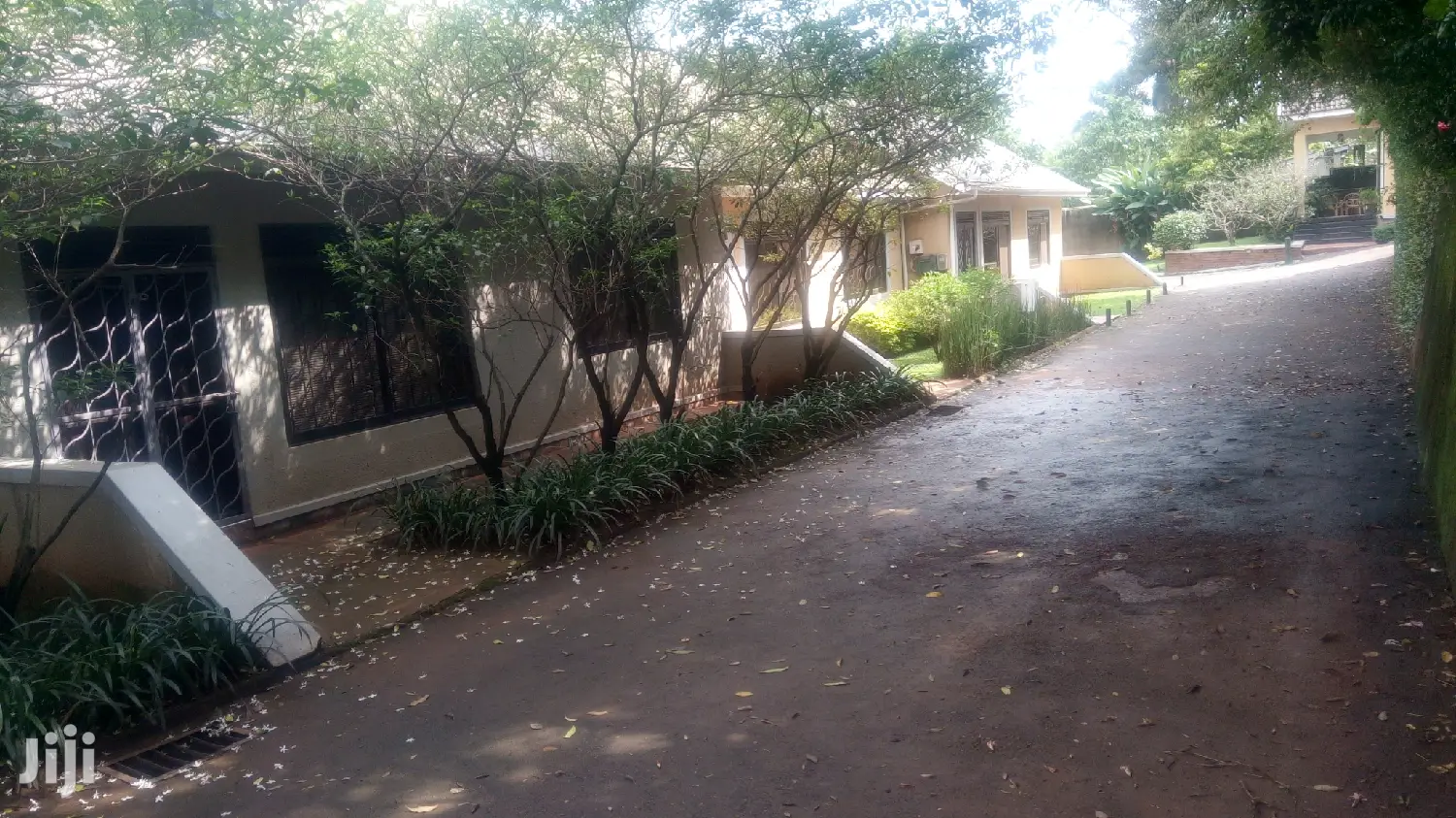 2 Bedroom House In Kololo For Rent