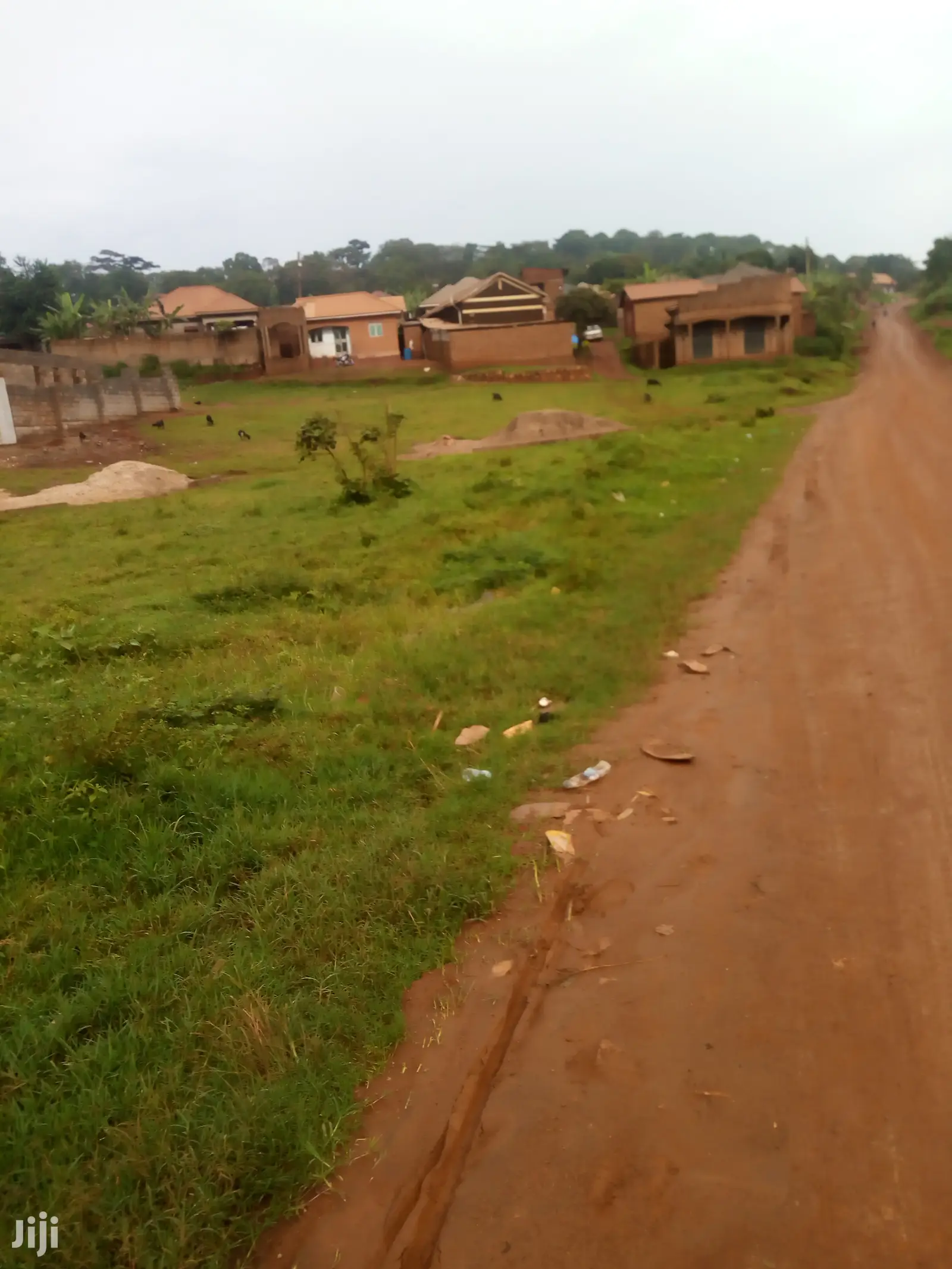 Land 150decimal Nakyerogsa Kakiri Hoima Road For Sale