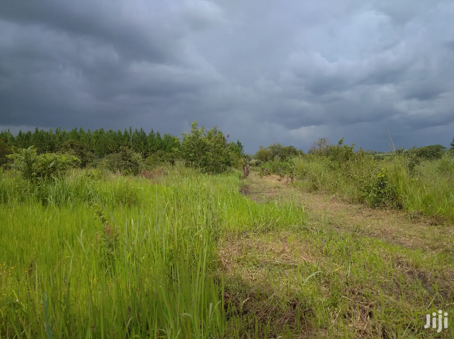 Farmland for Sale/Rent in Northern Uganda