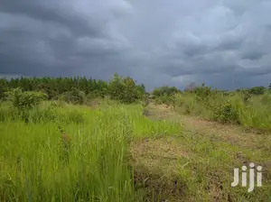 Farmland for Sale/Rent in Northern Uganda