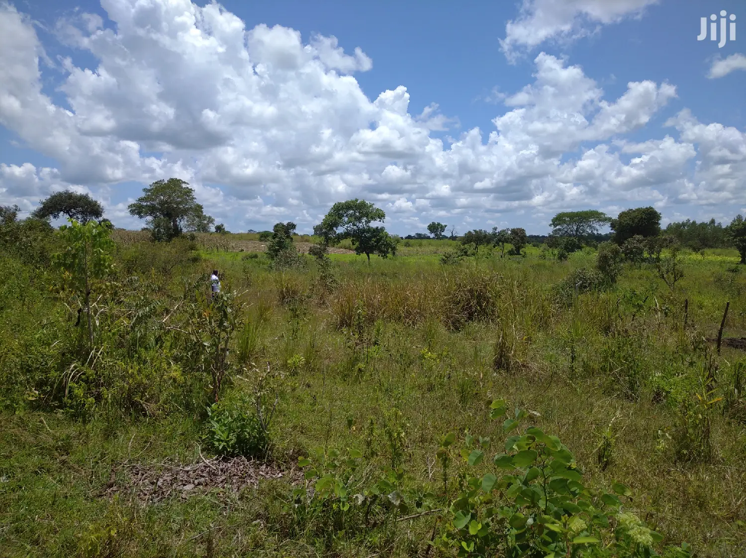 Plot For Sale & Rent In Northern Uganda in Gulu