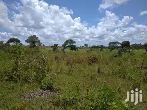 Farmland for Sale/Rent in Northern Uganda