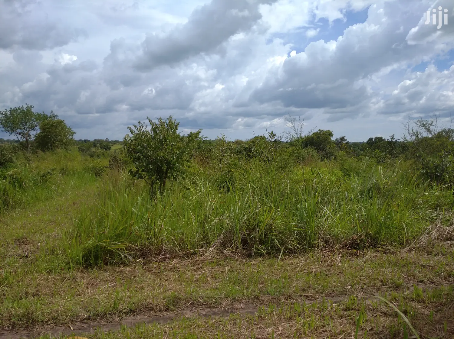 Farmland for Sale/Rent in Northern Uganda