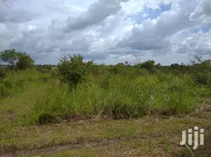 Farmland for Sale/Rent in Northern Uganda