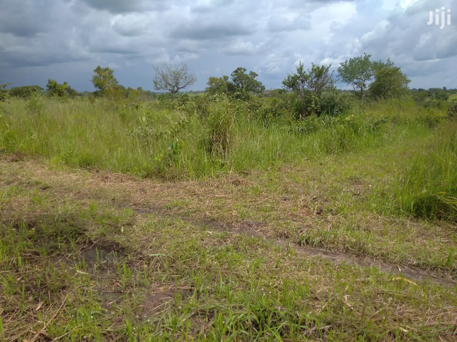 Farmland for Sale/Rent in Northern Uganda
