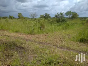Farmland for Sale/Rent in Northern Uganda