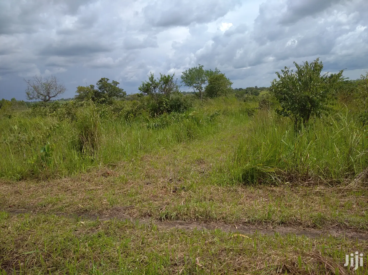 Farmland for Sale/Rent in Northern Uganda