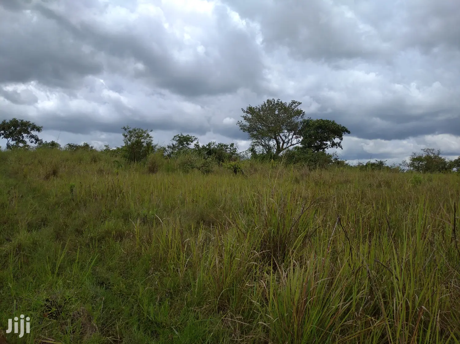 Farmland for Sale/Rent in Northern Uganda