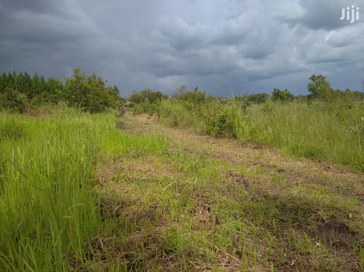 Farmland for Sale/Rent in Northern Uganda