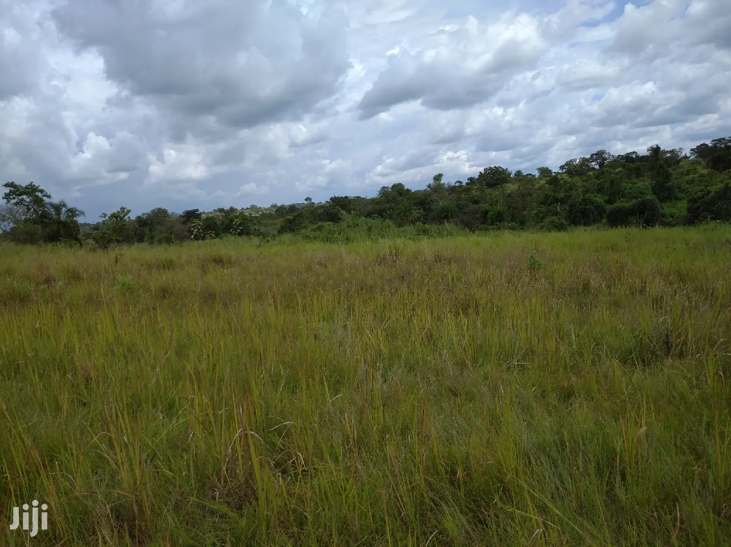 Farmland for Sale/Rent in Northern Uganda