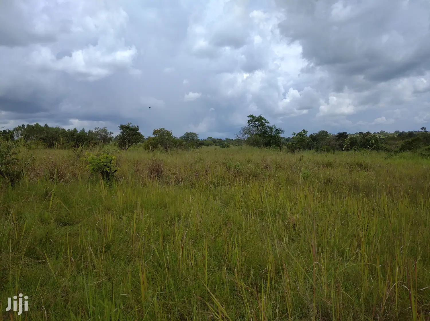 Farmland for Sale/Rent in Northern Uganda