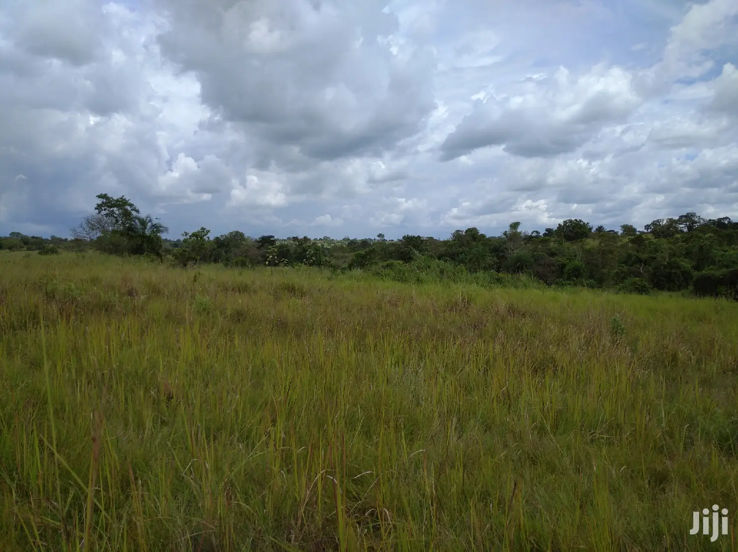 Farmland for Sale/Rent in Northern Uganda