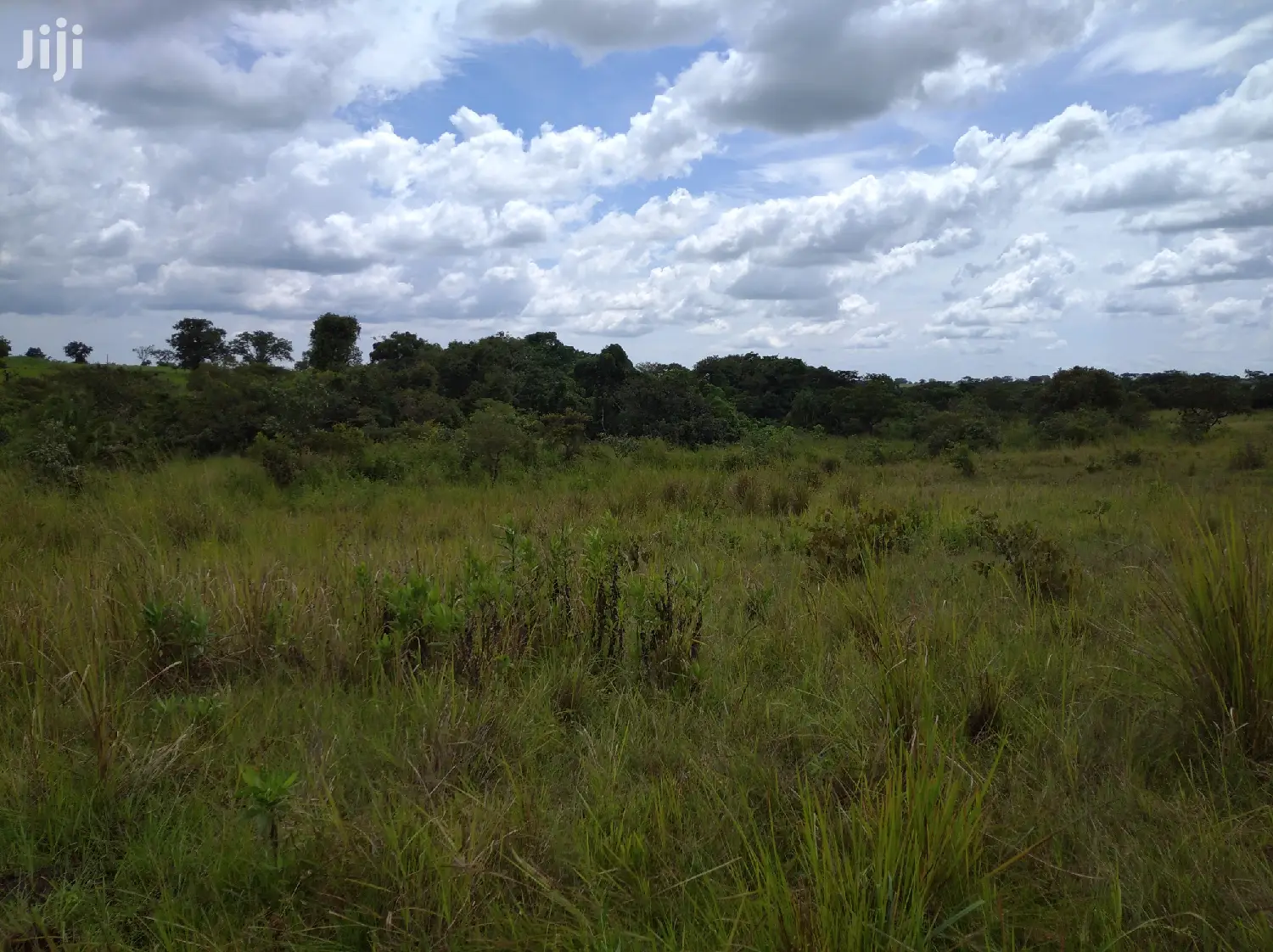 Farmland for Sale/Rent in Northern Uganda