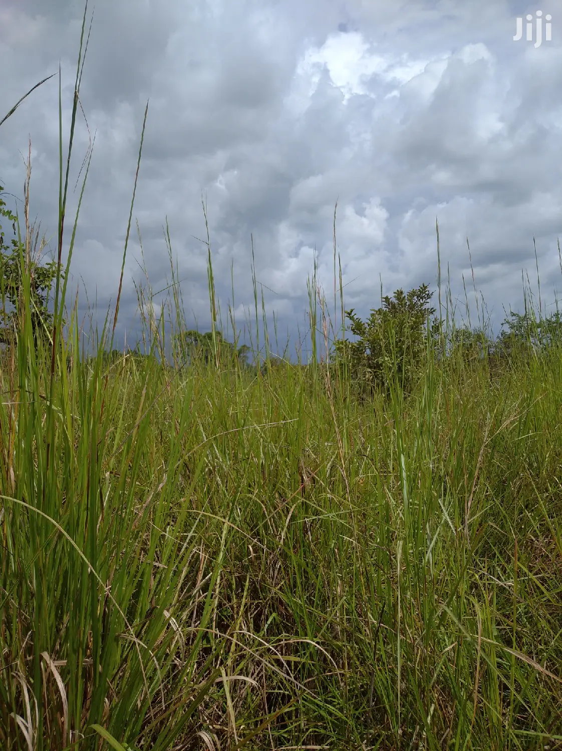 Farmland for Sale/Rent in Northern Uganda