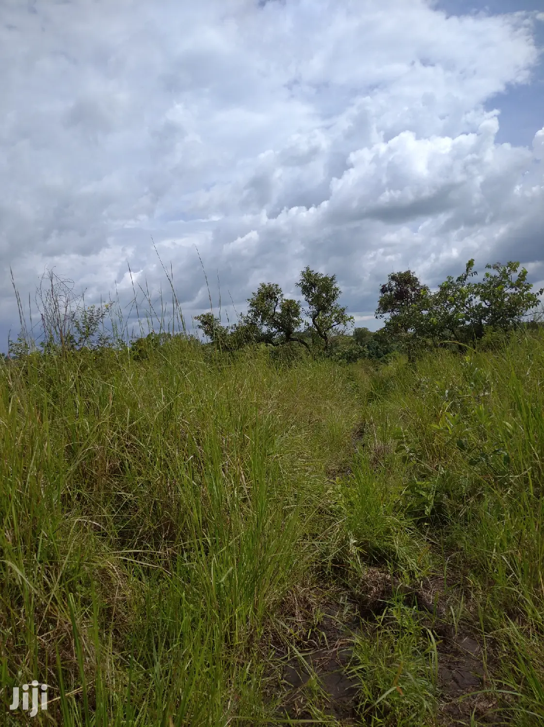 Farmland for Sale/Rent in Northern Uganda