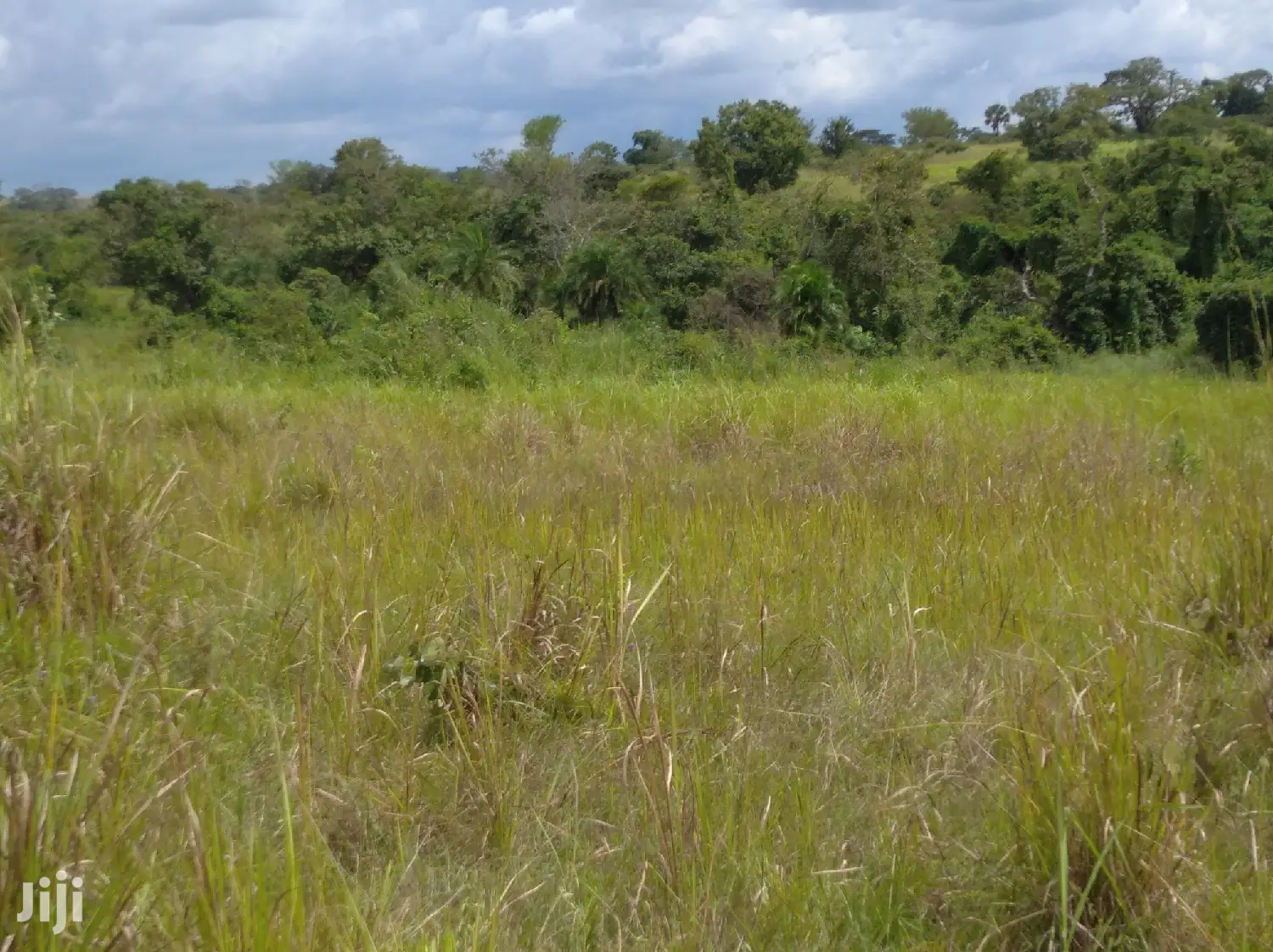 Farmland for Sale/Rent in Northern Uganda