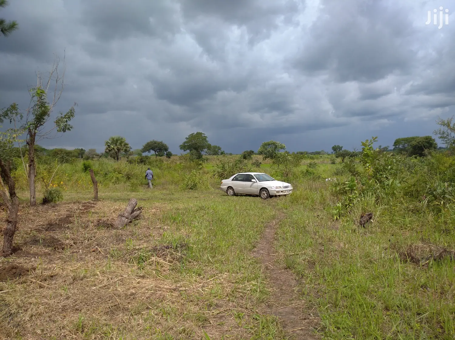 Farmland for Sale/Rent in Northern Uganda