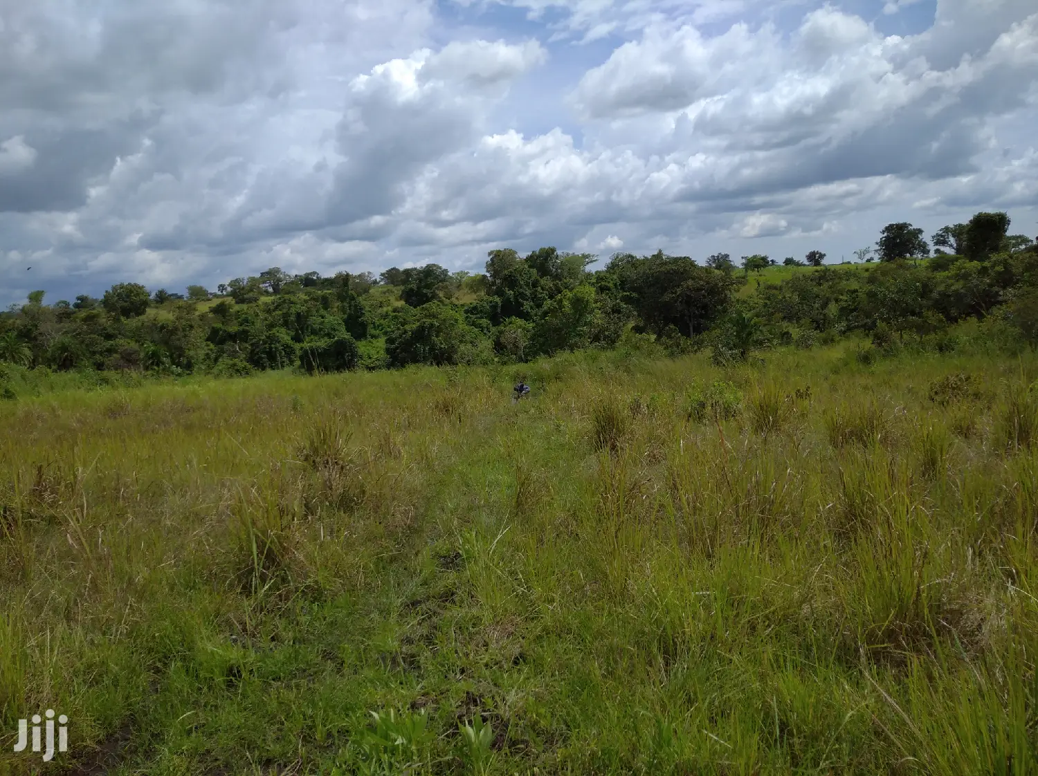 Farmland for Sale/Rent in Northern Uganda