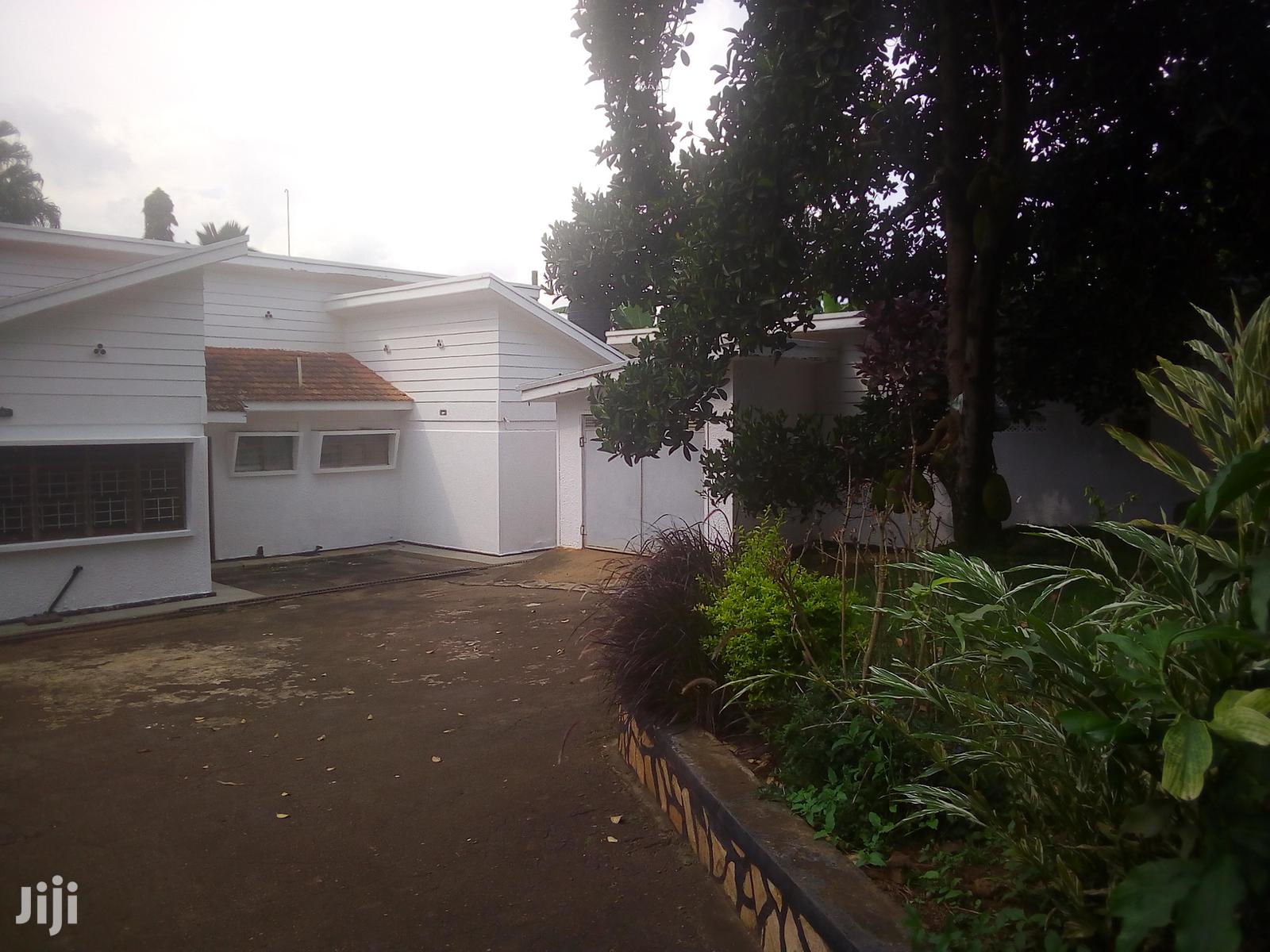 Three Bedroom House In Muyenga For Rent