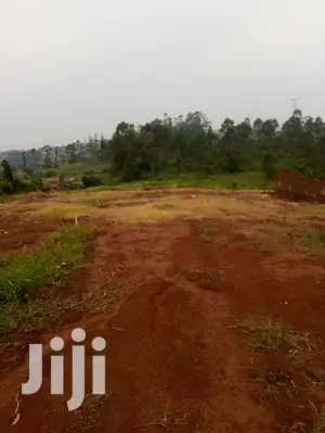 Plot For Sale 70X60ft In Lukwaga Setema Kusaza