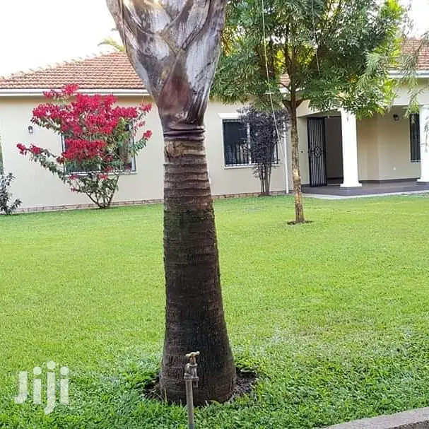 Modern 3 Bedroom House For Rent In Naguru