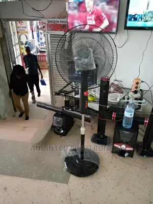 Stand Fan Black Fan