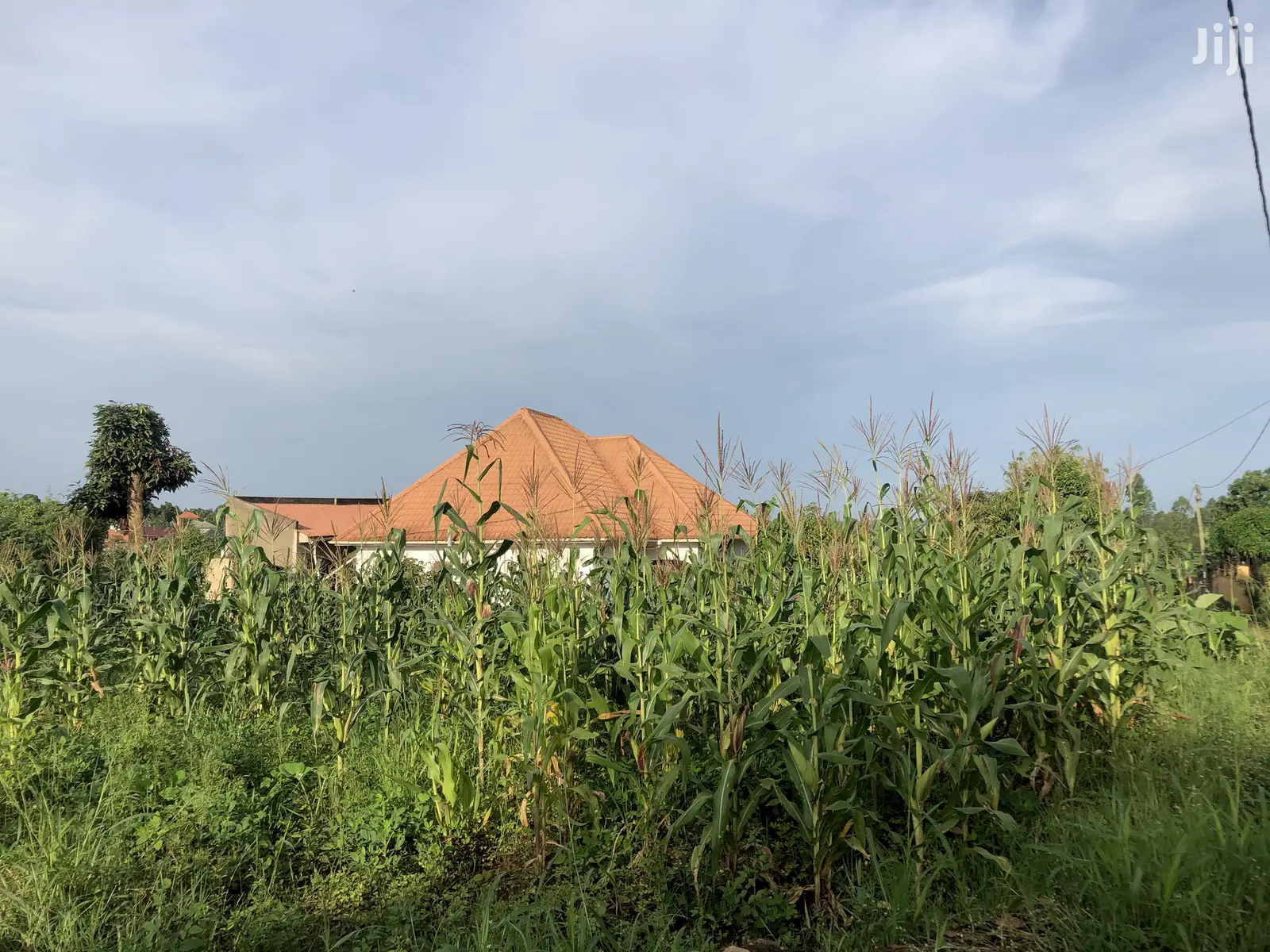 Kira Prime Plots Near the Tarmack on Sell