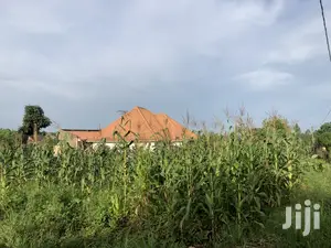 Kira Prime Plots Near the Tarmack on Sell