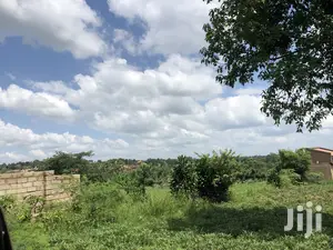 Kira Prime Plots Near the Tarmack on Sell
