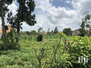 Kira Prime Plots Near the Tarmack on Sell
