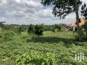 Kira Prime Plots Near the Tarmack on Sell