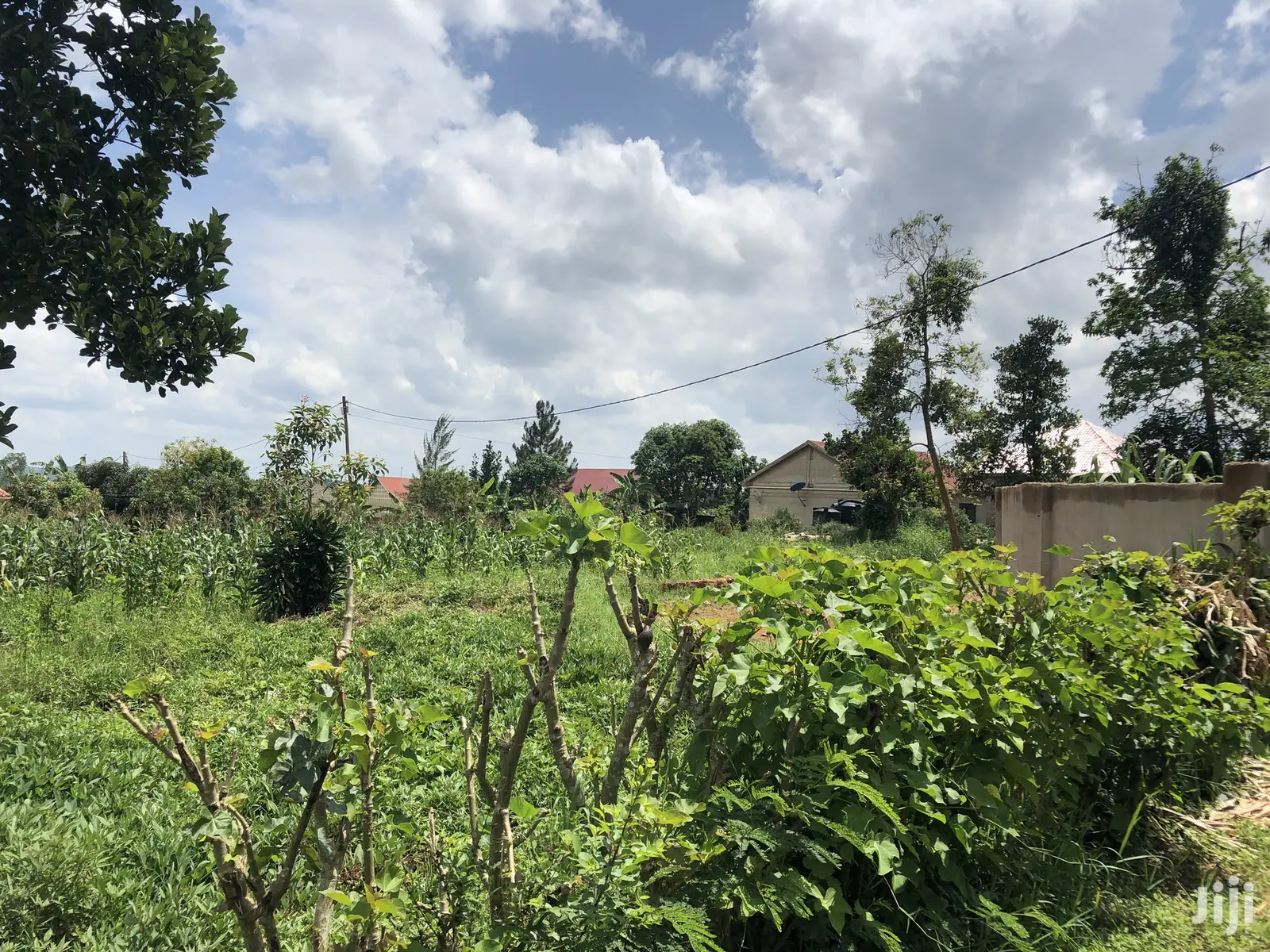 Kira Prime Plots Near the Tarmack on Sell