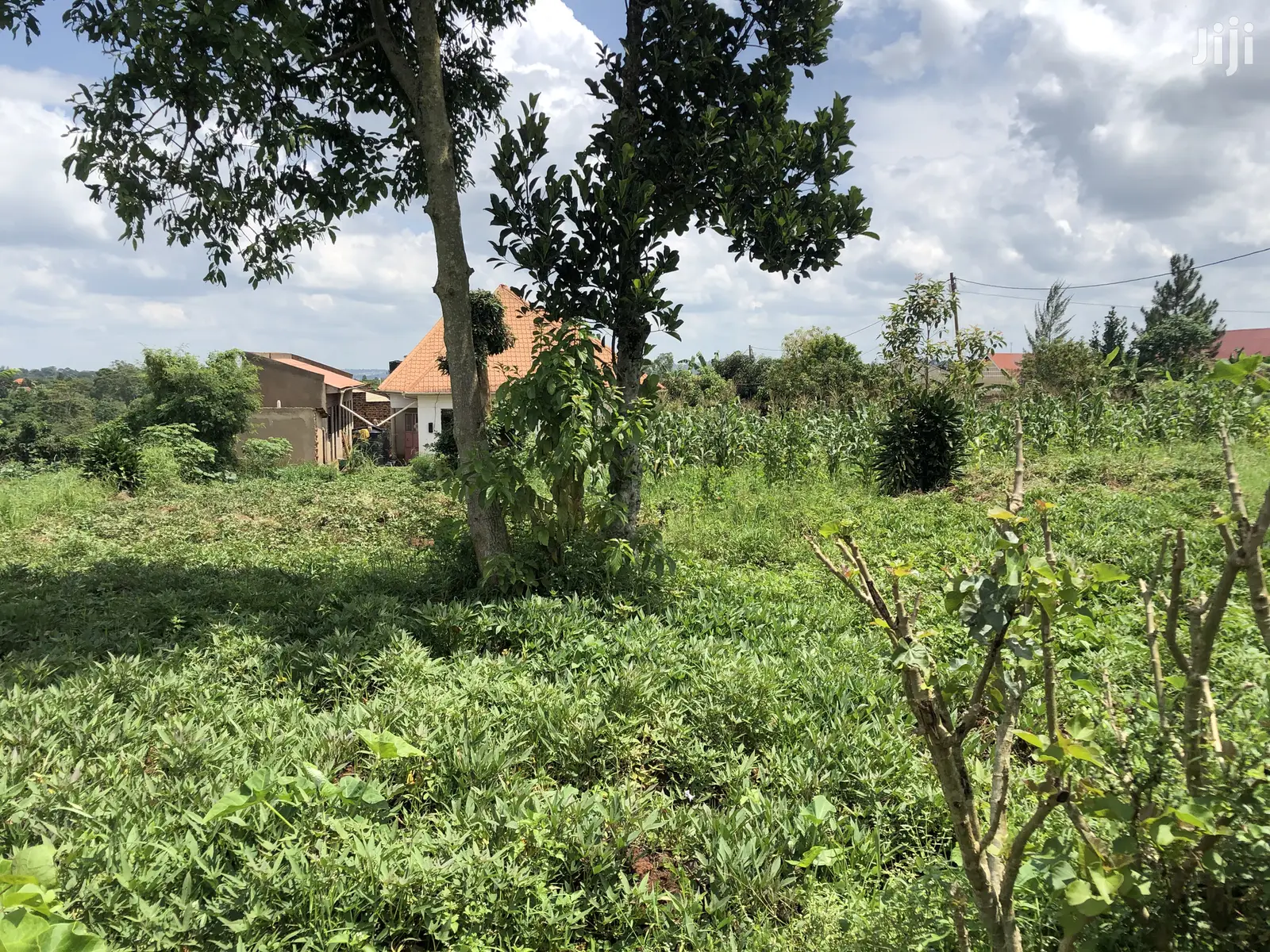 Kira Prime Plots Near the Tarmack on Sell