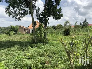 Kira Prime Plots Near the Tarmack on Sell