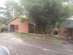 House For Rent In Bugolobi