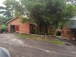 House For Rent In Bugolobi