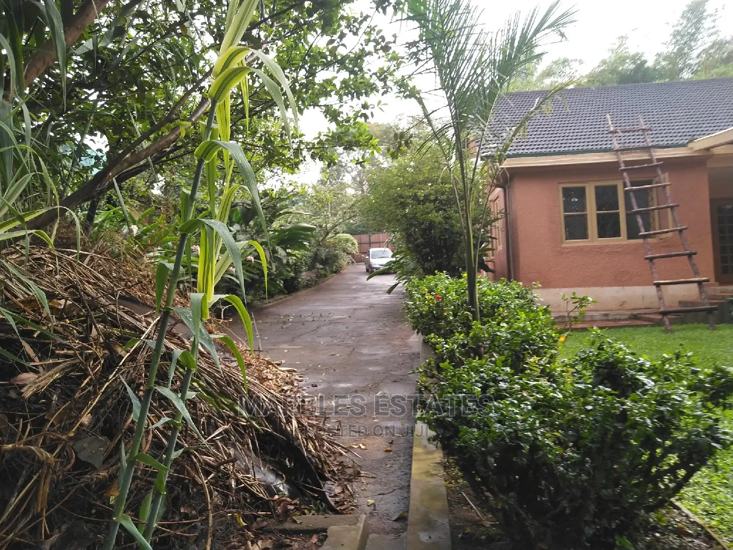 House For Rent In Bugolobi