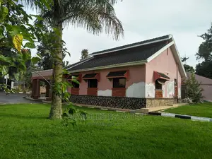 4 Bedroom House In Bugolobi For Rent